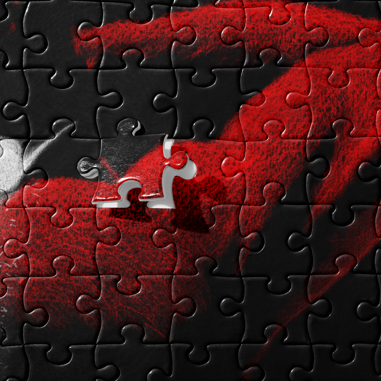 Double Vision Jigsaw Puzzle