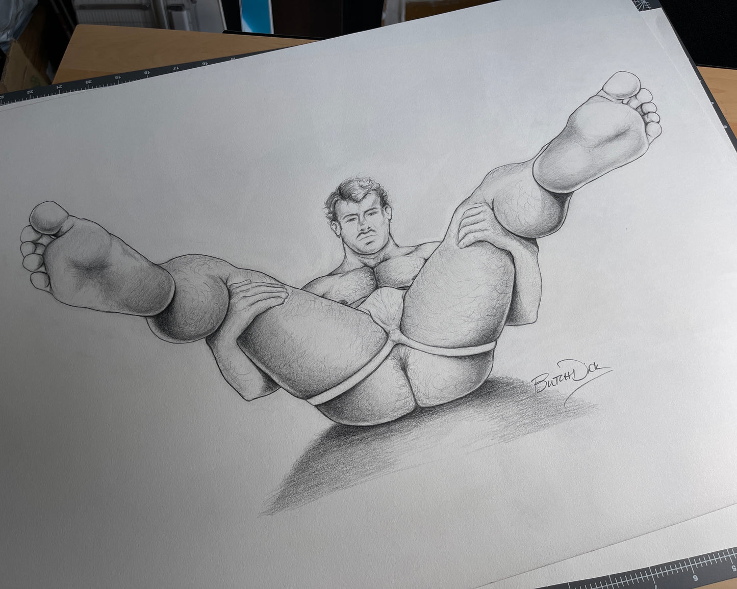 Wingspan Original Drawing