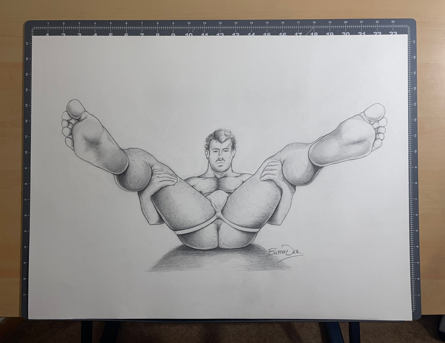 Wingspan Original Drawing