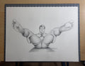 Wingspan Original Drawing